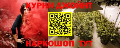 гидра Краснознаменск