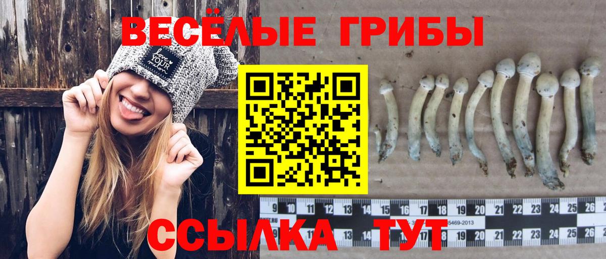 Галлюциногенные грибы прущие грибы Шахты