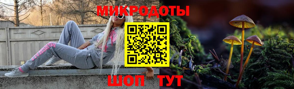Галлюциногенные грибы Cubensis  Вход с VPN  Шахты  Галлюциногенные грибы прущие грибы 